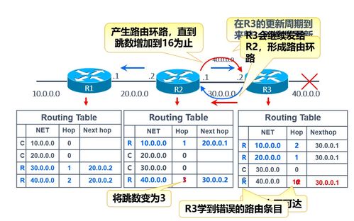 2021年12月 网络工程 动态路由RIP